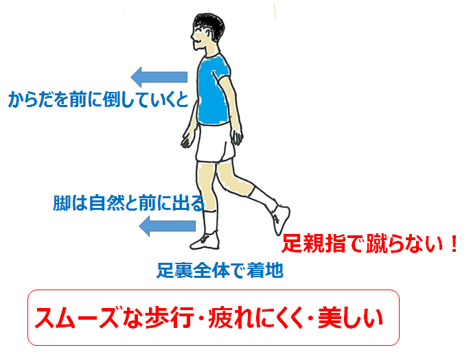 ウォーキング 美しい 疲れにくい歩き方 笛吹きおじさんの 中高年が健康で快適に生きるための情報