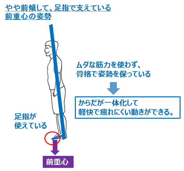 つま先重心はからだが動きやすく安定する その方法を解説 笛吹きおじさんの 中高年が健康で快適に生きるための情報