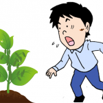 アブラムシの駆除に農薬を使わず、片栗粉を使ったら効果があった!