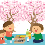 ソメイヨシノの知ってると得な知識(名前の由来・漢字・増やし方・病気や寿命)