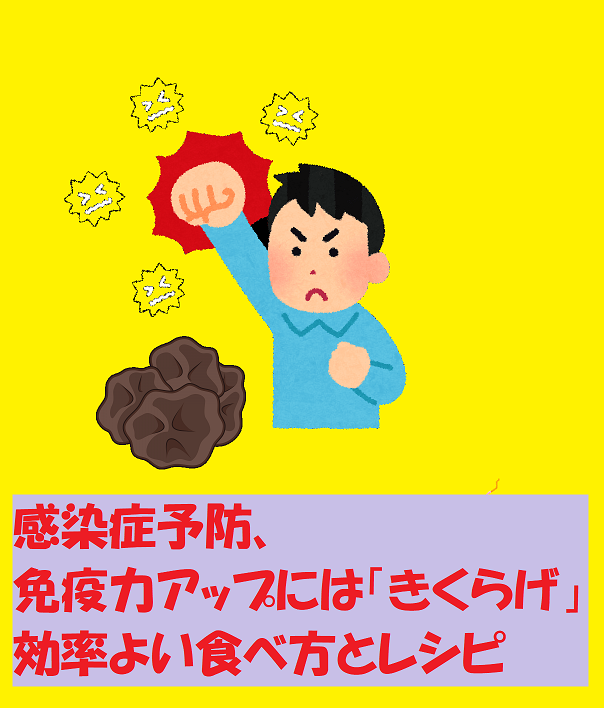 キクラゲのビタミンdの含有量と 効率よい食べ方と料理レシピ 笛吹きおじさんの 中高年が健康で快適に生きるための情報